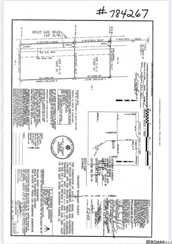 9528 Split Log Rd, St Amant, LA 70774