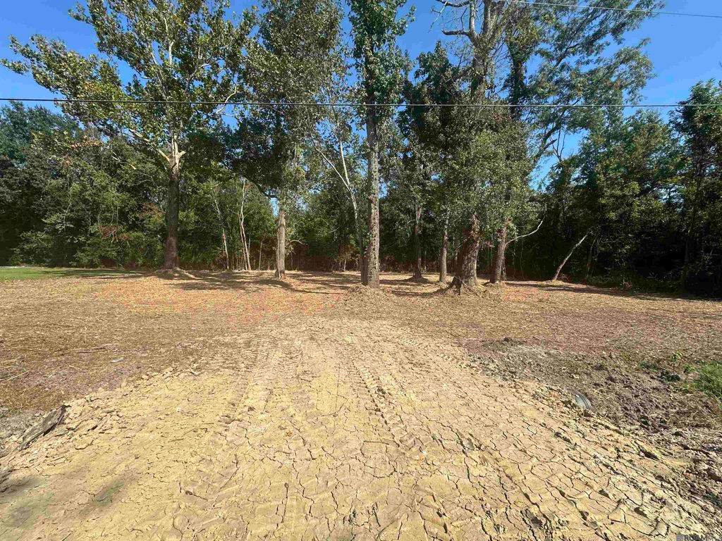 9528 Split Log Rd, St Amant, LA 70774