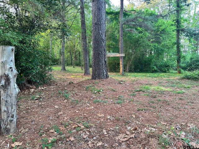 17424 CR 46, Tyler, TX 75704