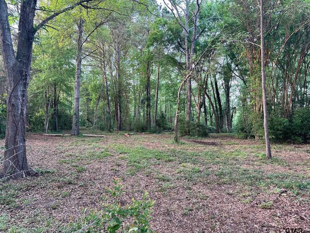 17424 CR 46, Tyler, TX 75704