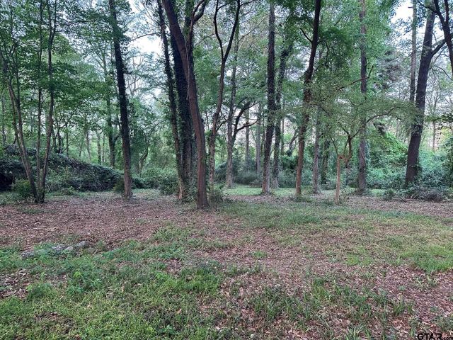 17424 CR 46, Tyler, TX 75704