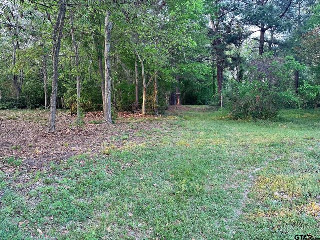 17424 CR 46, Tyler, TX 75704