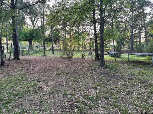 17424 CR 46, Tyler, TX 75704