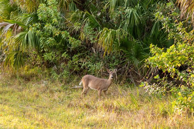 KAMSLER AVENUE, North Port, FL 34286