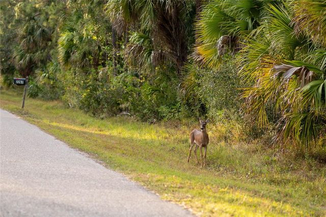 KAMSLER AVENUE, North Port, FL 34286
