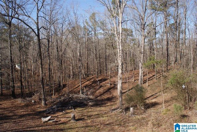 3965 BLACK HAWK DRIVE, Bessemer, AL 35022