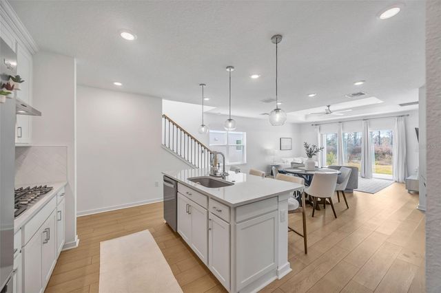 1095 KISTNA DRIVE, Zephyrhills, FL 33540