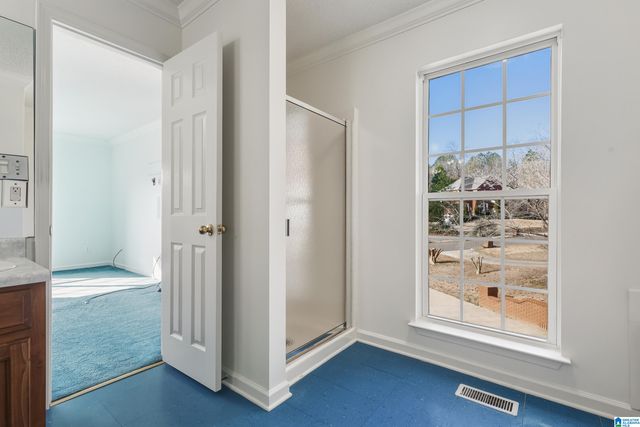 959 DIANE STREET, Leeds, AL 35094