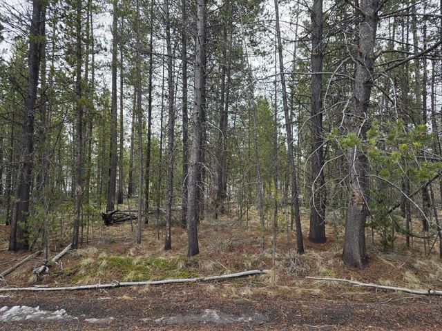 17103 Laguna Road, Bend, OR 97707