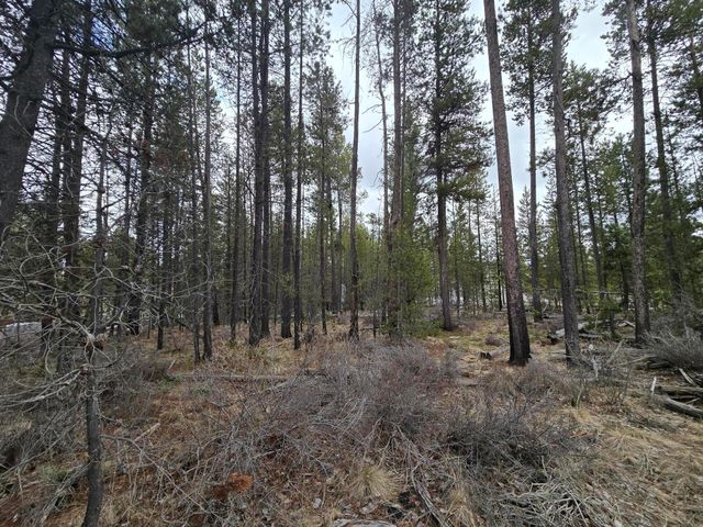 17103 Laguna Road, Bend, OR 97707