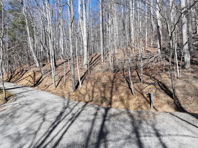 Lot 22 Top Drop Lane, Sylva, NC 28779