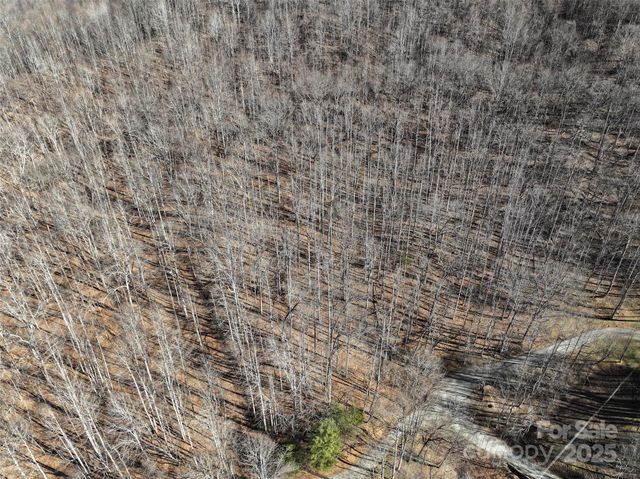 Lot 22 Top Drop Lane, Sylva, NC 28779