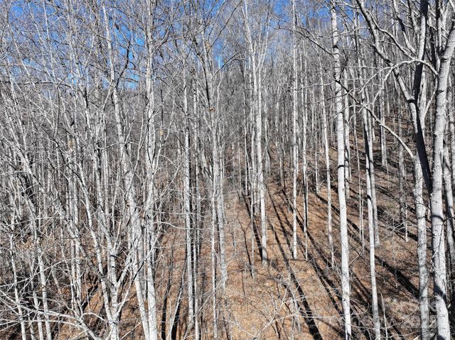 Lot 22 Top Drop Lane, Sylva, NC 28779