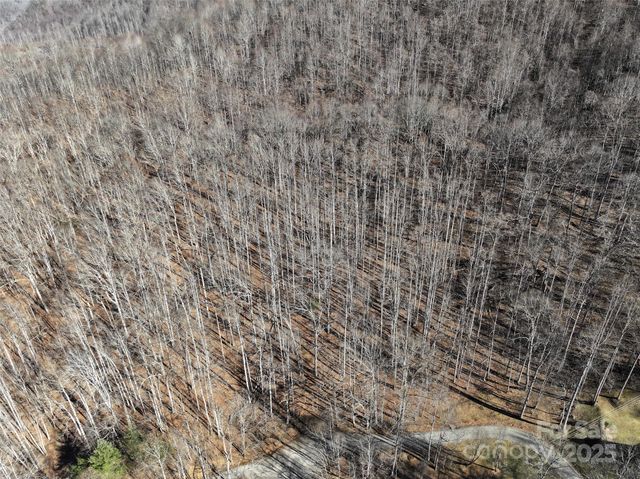 Lot 22 Top Drop Lane, Sylva, NC 28779