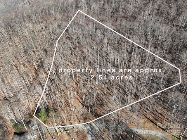 Lot 22 Top Drop Lane, Sylva, NC 28779