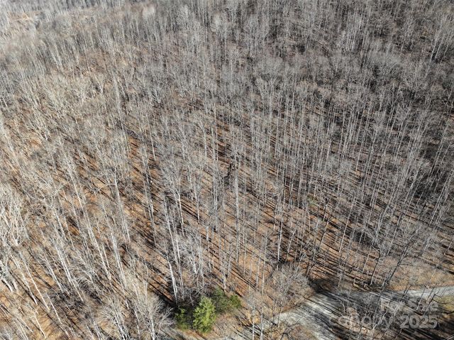 Lot 22 Top Drop Lane, Sylva, NC 28779