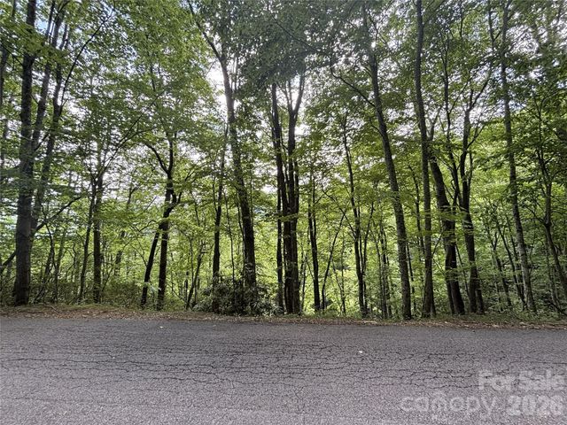 000 Valley View Drive, Maggie Valley, NC 28751