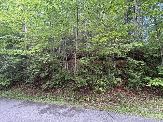 000 Valley View Drive, Maggie Valley, NC 28751