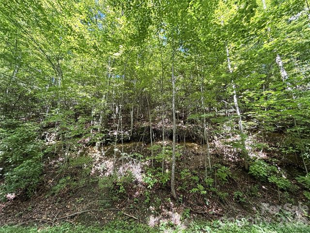 000 Valley View Drive, Maggie Valley, NC 28751