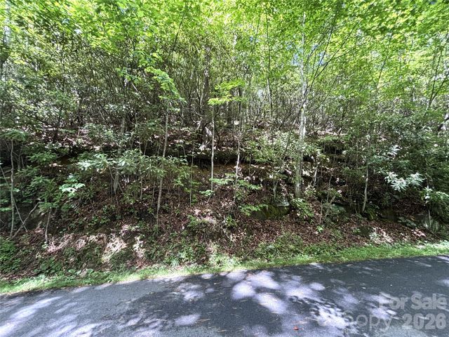 000 Valley View Drive, Maggie Valley, NC 28751