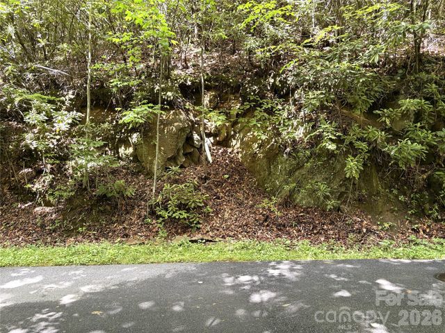 000 Valley View Drive, Maggie Valley, NC 28751