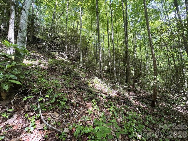 000 Valley View Drive, Maggie Valley, NC 28751