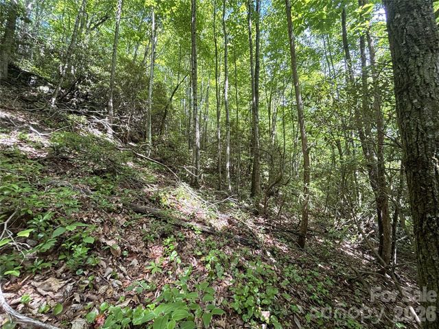 000 Valley View Drive, Maggie Valley, NC 28751
