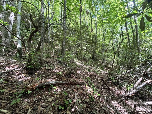 000 Valley View Drive, Maggie Valley, NC 28751