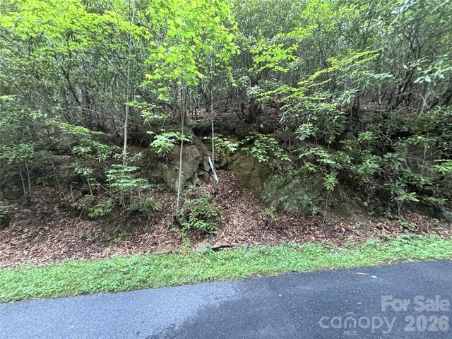 000 Valley View Drive, Maggie Valley, NC 28751