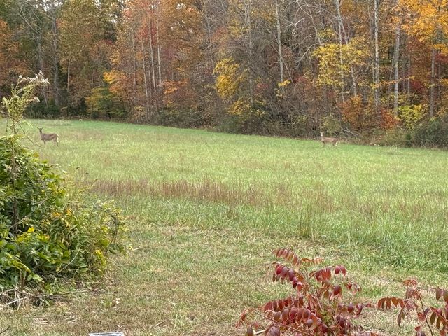 872 Bastin Creek Road, Kings Mountain, KY 40442