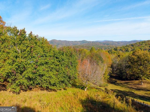 295 White Oak Drive, Warne, NC 28909