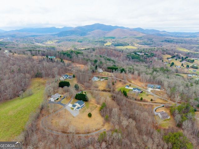 295 White Oak Drive, Warne, NC 28909