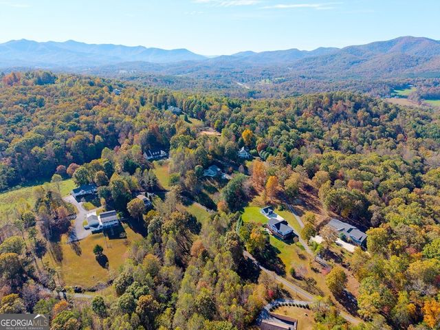 295 White Oak Drive, Warne, NC 28909