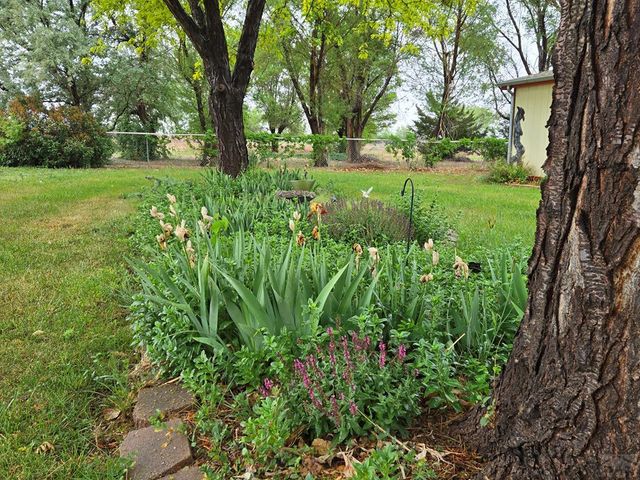 34754 County Rd 31, La Junta, CO 81050