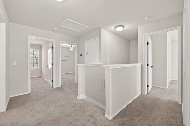 1912 Common Oak Drive, Houston, TX 77080