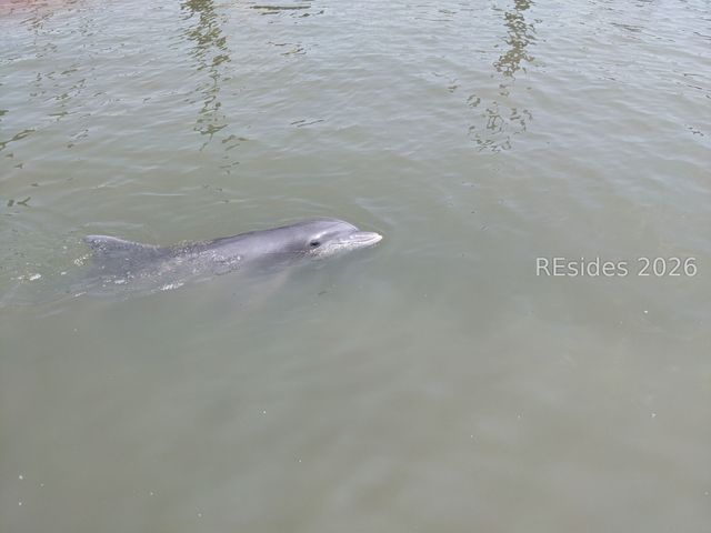 30 Captain Monroe Ln, Daufuskie Island, SC 29915