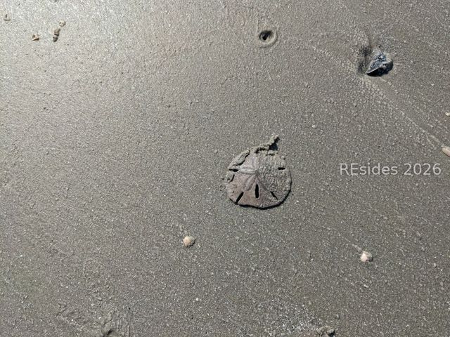 30 Captain Monroe Ln, Daufuskie Island, SC 29915