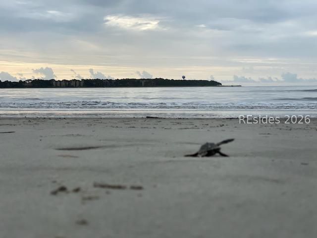 30 Captain Monroe Ln, Daufuskie Island, SC 29915