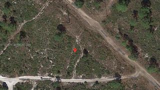 532 Nichele Boulevard, Lake Placid, FL 33852