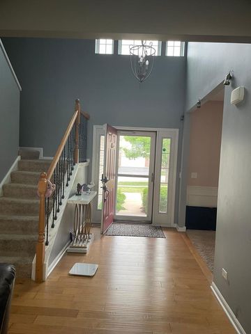 159 Chapin Way, Oswego, IL 60543