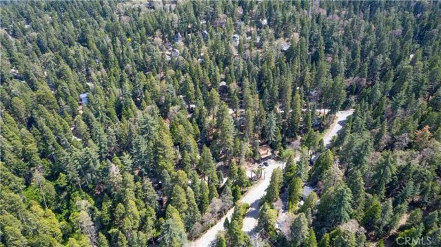 26131 Lake Forest Drive, Twin Peaks, CA 92391