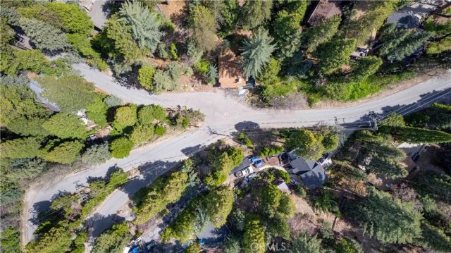 26131 Lake Forest Drive, Twin Peaks, CA 92391