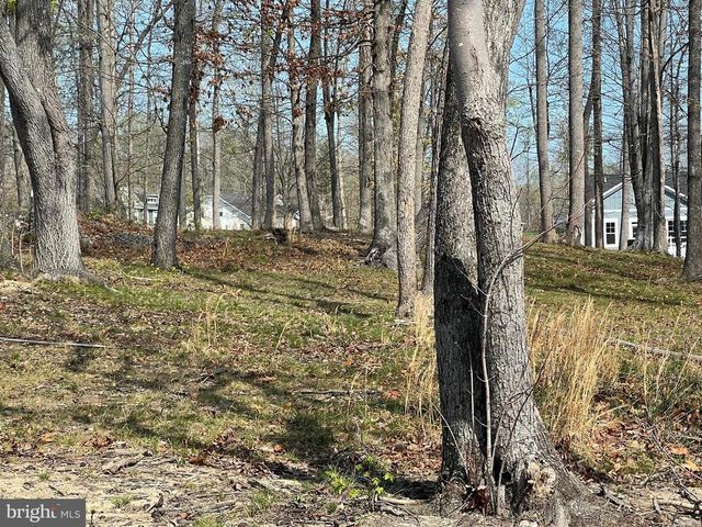 FAIRVIEW DR, Mineral, VA 23117
