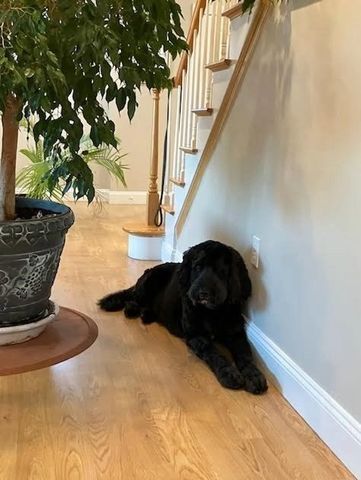 19 Harbourside Rd 19, Quincy, MA 02171