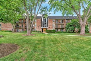520 Burning Tree Lane 306, Naperville, IL 60563