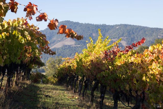 295 Sonoma Ridge Rd, Santa Rosa, CA 95404