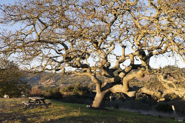 295 Sonoma Ridge Rd, Santa Rosa, CA 95404