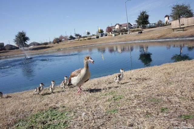 6535 Encore Oaks, San Antonio, TX 78252