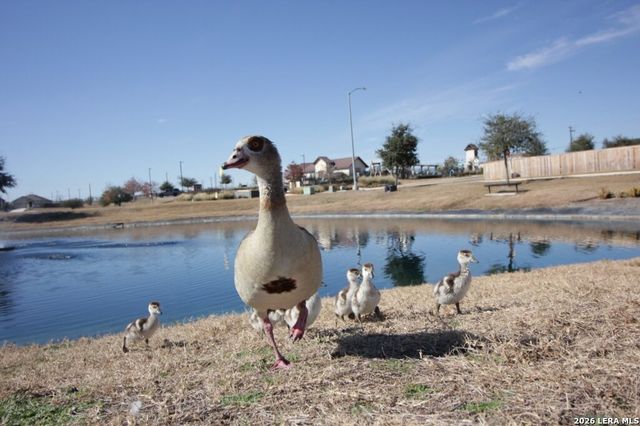 6535 Encore Oaks, San Antonio, TX 78252