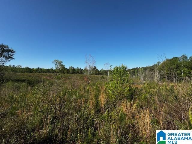 14875 HIGHWAY 431, Wedowee, AL 36278